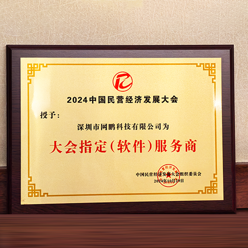 大会指定（软件）服务商